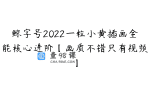 鲸字号2022一粒小黄插画全能核心进阶【画质不错只有视频】