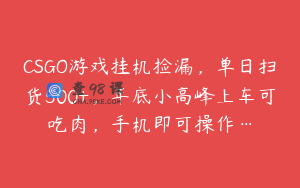 CSGO游戏挂机捡漏，单日扫货500+，年底小高峰上车可吃肉，手机即可操作…