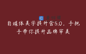 自媒体美学提升营5.0，手把手带你提升品牌审美