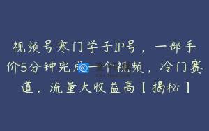 视频号寒门学子IP号，一部手价5分钟完成一个视频，冷门赛道，流量大收益高【揭秘】