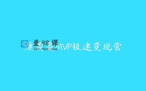 鹿盈盈MVP极速变现营