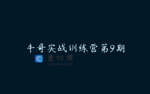 牛哥实战训练营第9期