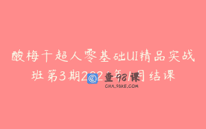 酸梅干超人零基础UI精品实战班第3期2021年1月结课