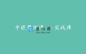 中级案例课---实战课