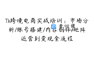 Tk跨境电商实战培训：市场分析/账号搭建/内容创作/矩阵运营到变现全流程
