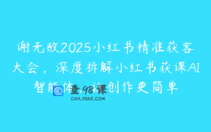 谢无敌2025小红书精准获客大会，深度拆解小红书获课AI智能体，让创作更简单