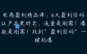 电商盈利精品课：6大盈利密码让产品更好卖，流量是刚需！爆款是刚需！找到”盈利密码”一键起爆