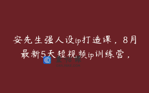 安先生强人设ip打造课，8月最新5天短视频ip训练营，