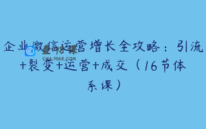 企业微信运营增长全攻略：引流+裂变+运营+成交（16节体系课）