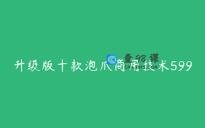 升级版十款泡爪商用技术599