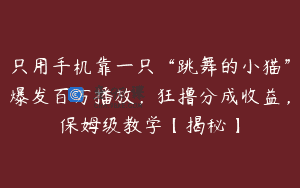 只用手机靠一只“跳舞的小猫”爆发百万播放，狂撸分成收益，保姆级教学【揭秘】