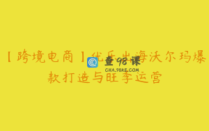 【跨境电商】优乐出海沃尔玛爆款打造与旺季运营