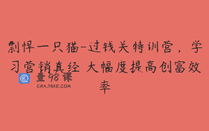剽悍一只猫-过钱关特训营，学习营销真经 大幅度提高创富效率