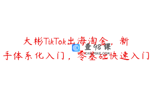 大彬TikTok出海淘金，新手体系化入门，零基础快速入门