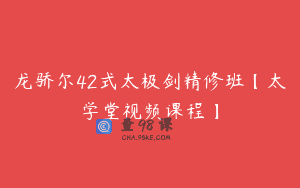 龙骄尔42式太极剑精修班【太学堂视频课程】