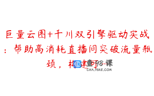 巨量云图+千川双引擎驱动实战：帮助高消耗直播间突破流量瓶颈，构建可…