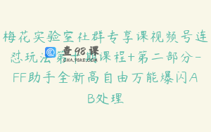 梅花实验室社群专享课视频号连怼玩法第十期课程+第二部分-FF助手全新高自由万能爆闪AB处理