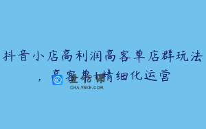抖音小店高利润高客单店群玩法，高客单+精细化运营