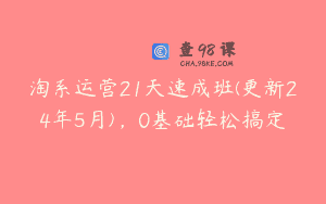 淘系运营21天速成班(更新24年5月)，0基础轻松搞定