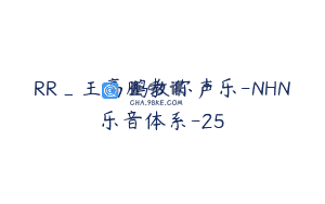 RR_王高鹏教你声乐-NHN乐音体系-25