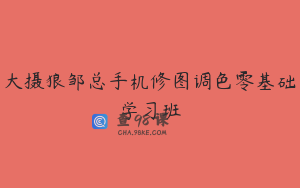大摄狼邹总手机修图调色零基础学习班