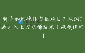 新手如何操作虚拟项目？从0打造月入上万店铺技术【视频课程】