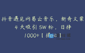 抖音遇见网易云音乐，新奇文案 4 天吸引 5W 粉，日挣1000+【揭秘】