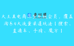 大王真电商课堂电镀会员，覆盖淘系4大流量渠道玩法【搜索、直通车、手猜、魔方】