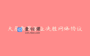 大辰教育张亚决胜网络协议