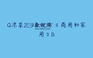 Q凉菜289款配方《商用和家用》B