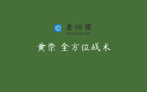 黄崇 全方位战术