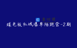 媒老板私域爆单陪跑营-2期