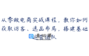 从零做电商实战课程，教你如何获取访客、选品布局，搭建基础运营团队