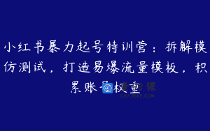 小红书暴力起号特训营：拆解模仿测试，打造易爆流量模板，积累账号权重