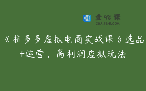 《拼多多虚拟电商实战课》选品+运营，高利润虚拟玩法