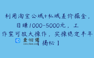 利用淘宝公域+私域差价掘金，日赚1000-5000元，工作室可放大操作，实操稳定半年【揭秘】
