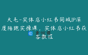 大毛-实体店小红书同城IP深度陪跑实操课，实体店小红书获客教程