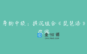 身韵中级：提沉组合《琵琶语》改编