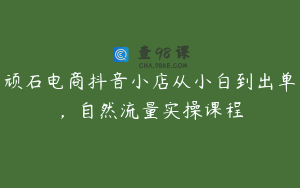 顽石电商抖音小店从小白到出单，自然流量实操课程