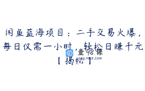 闲鱼蓝海项目：二手交易火爆，每日仅需一小时，轻松日赚千元【揭秘】