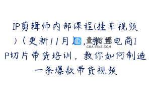 IP剪辑师内部课程(挂车视频)（更新11月），张兰电商IP切片带货培训，教你如何制造一条爆款带货视频