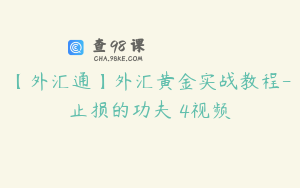 【外汇通】外汇黄金实战教程-止损的功夫 4视频