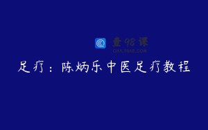 足疗：陈炳乐中医足疗教程
