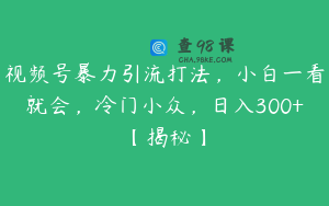 视频号暴力引流打法，小白一看就会，冷门小众，日入300+【揭秘】