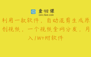 利用一款软件，自动混剪生成原创视频，一个视频全网分发，月入1W+附软件