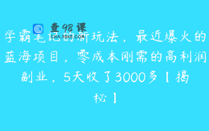 学霸笔记的新玩法，最近爆火的蓝海项目，零成本刚需的高利润副业，5天收了3000多【揭秘】