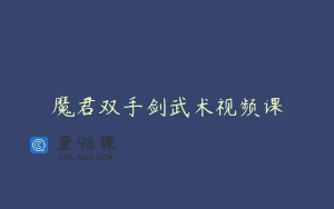魔君双手剑武术视频课