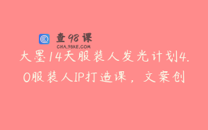 大墨14天服装人发光计划4.0服装人IP打造课，文案创
