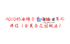 A010奶油梅子酱项链_耳环课程（含莫奈花园做法）