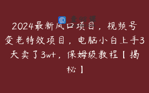 2024最新风口项目，视频号变老特效项目，电脑小白上手3天卖了3w+，保姆级教程【揭秘】